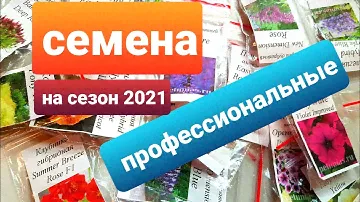 Профессиональные семена из магазина Петуниас/ Обзор посылки с проф семенами/Семена на сезон 2021