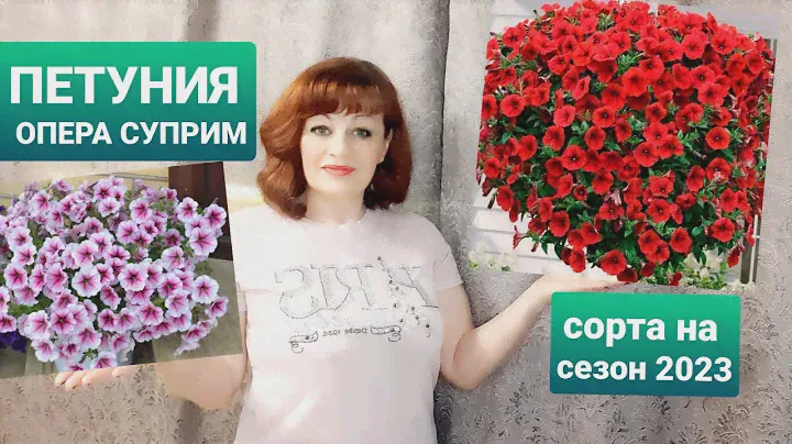 САМЫЕ ЛУЧШИЕ СОРТОСЕРИИ ПЕТУНИИ НА СЕЗОН 2023. ОПЕРА СУПРИМ. КАКИЕ СОРТА ПОСЕЯЛА В НОВОМ СЕЗОНЕ.