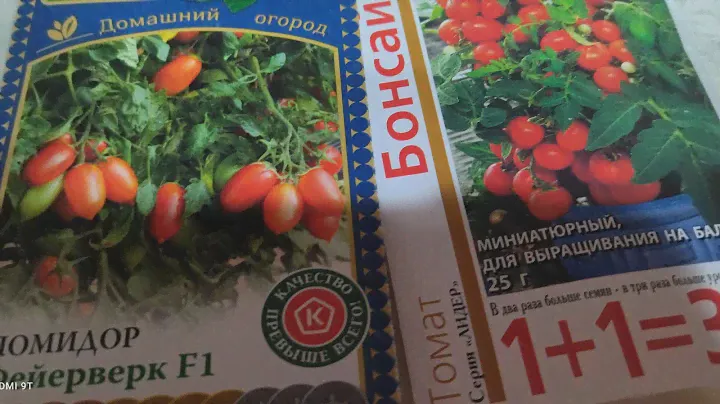 Домашний огород. Помидор Фейерверк и Бонсай! 🍅🍅🍅🍅🍅🍅🍅