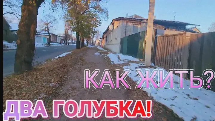 ❤️‍🔥Кормим Ребёнка!Два Голубка!