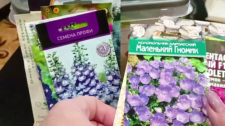 🪻🪻🪻 1 часть. Семена обзор 🌷🌷🌷