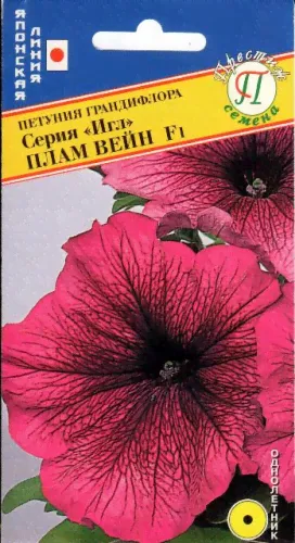 Петуния гранд."Игл" Плам вейн F1-0