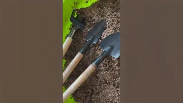 Несмотря на проблемы с ручками,обожаю работать с цветами 🌱🥰