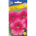 Петуния Игл Пинк Вейн F1, 10др.(ПР)
