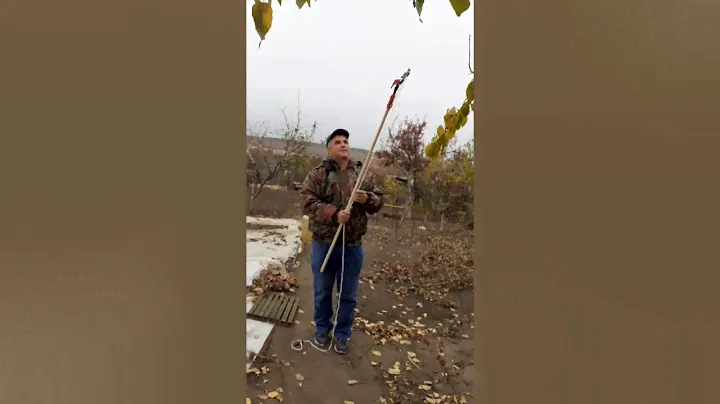 СУЧКОРЕЗ - ВЫСОТОРЕЗ РУЧНОЙ КРАФТ ВАГЕН(ВЕЙ) ОБЗОР.С ПРИМЕРОМ ПРИМЕНЕНИЯ ПРИ ВЫСОТНОЙ ОБРЕЗКЕ ДЕРЕВА